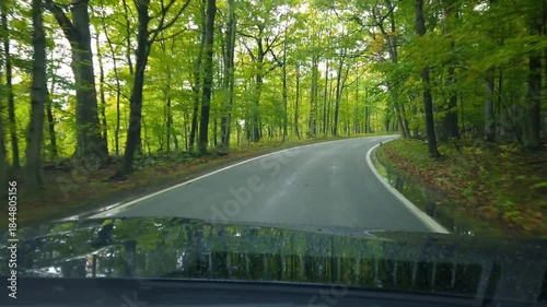 Driving through Scenic road- tunnel of trees in Michigan up north country side .