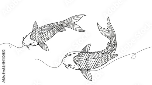 Line Art Illustration of Two Koi Fish Swimming with Elegance and Grace