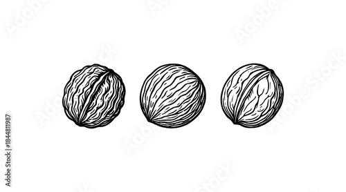 Hand-drawn illustration of three walnuts in black and white on a white background
