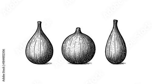 Hand-drawn illustration of three figs in a vintage engraving style