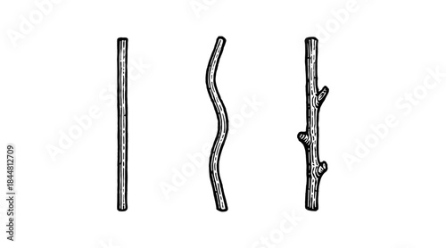 Ink drawing of three different wooden sticks on a white background