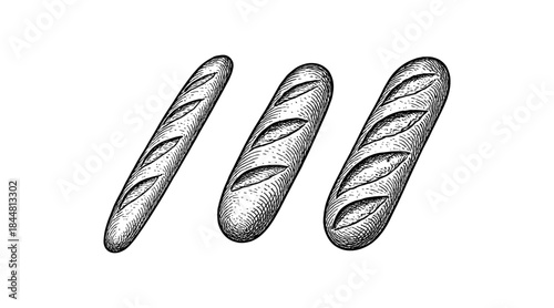 Artistic illustration of three fresh baguettes on a white background