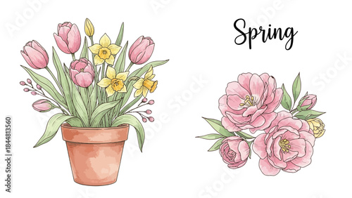 Elegant watercolor-style illustration of spring flowers including pink tulips and yellow daffodils.