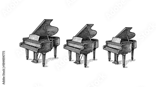 Engraved grand pianos in a row, vintage illustration on white background