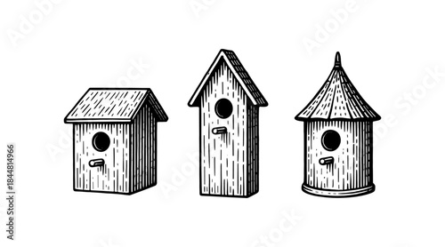 Detailed illustration of three unique birdhouses in a vintage engraving style