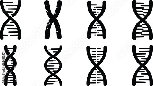 Illustration of human chromosome structures and variations in dna shapes