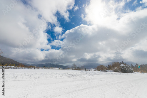 九重町の雪景色（大分県九重町）
