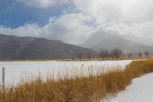九重町の雪景色（大分県九重町）