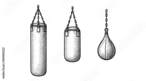 Boxing equipment illustration: punching bags and speed bag in a vintage style