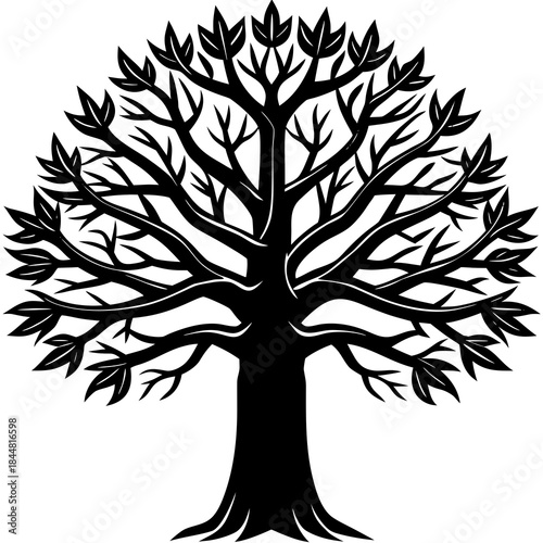 Decorative Single Forest Tree Silhouettes Vector Collection