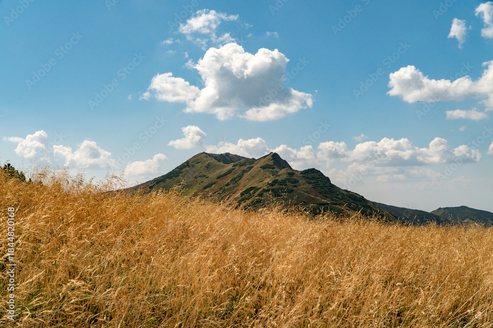 Obraz premium Hiking in the Mala Fatra Mountains, Slovakia.