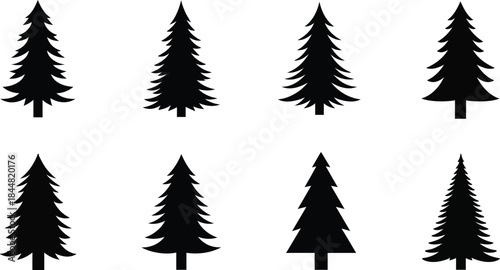 Simple black silhouettes of various shaped evergreen trees on a white background