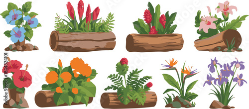 set of spring flowers