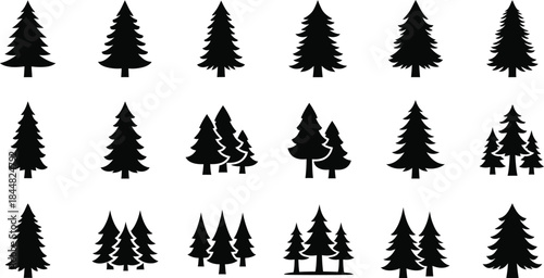 Collection of various pine tree silhouettes on transparent background