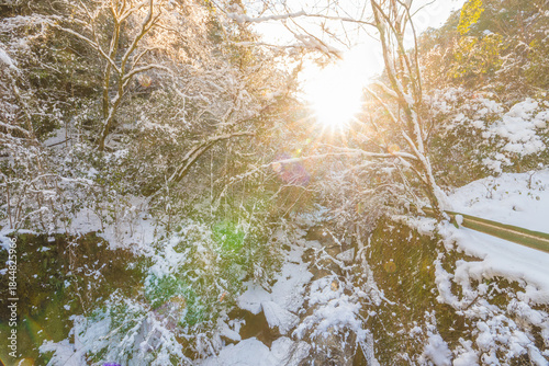 耶馬渓の雪景色（大分県中津市耶馬渓）