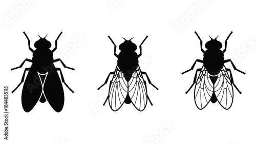 Three black fly illustrations in a simple minimalist silhouette
