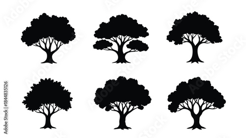 Collection of varied tree shapes and foliage presented as a dark silhouette