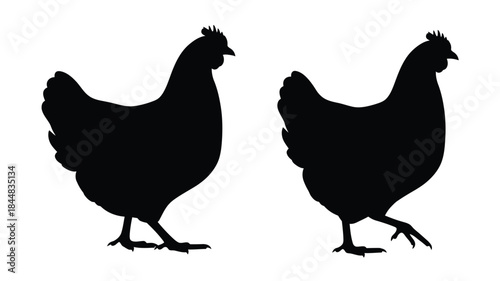 Two chickens depicted in a stark black and white silhouette