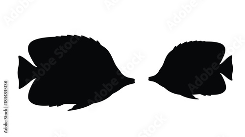 Two tropical fish facing each other a striking black silhouette
