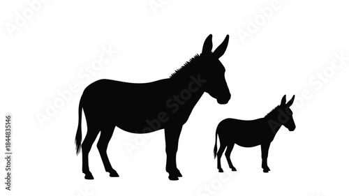 A mother and baby donkey in a stark black silhouette