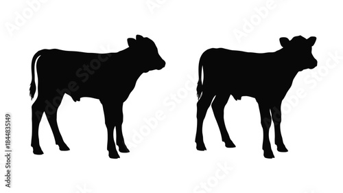 Two young cattle depicted in a striking black and white silhouette