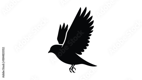 A striking black bird with outstretched wings in flight silhouette