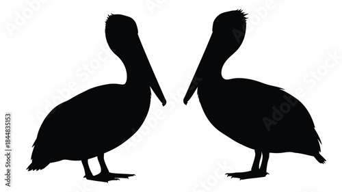 Two pelicans facing each other a striking black and white silhouette