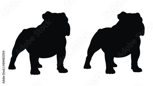 Two majestic bulldog silhouettes stand facing each other a striking visual