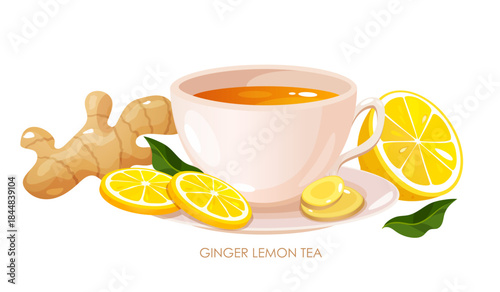 Vector Flat Illustration of Ginger Lemon Tea in White Porcelain Cup with Ginger Root, Lemon Slices and Green Leaves Near Isolated on White Background – Healthy Herbal Drink, Wellness and Detox Concept