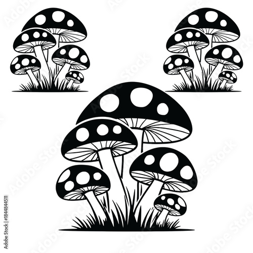 Black and White Mushroom Illustration – Vintage Fungi Line Art Design