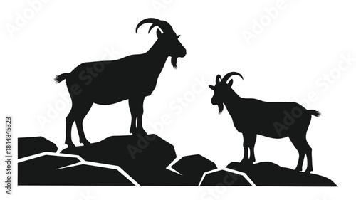 Two mountain goats standing on rocks a striking black silhouette