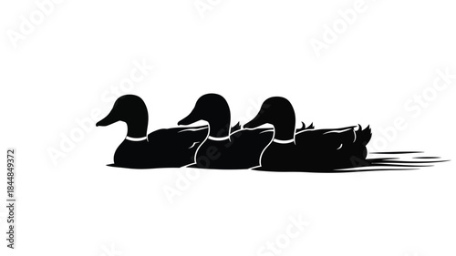 A line of ducks swimming in water a striking black silhouette