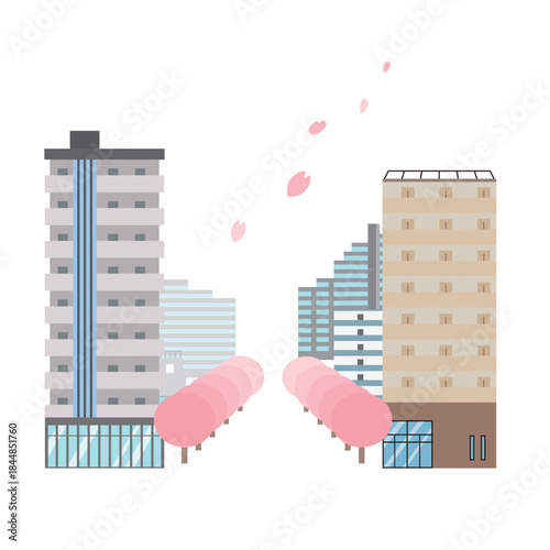 ピンクの桜並木とマンション