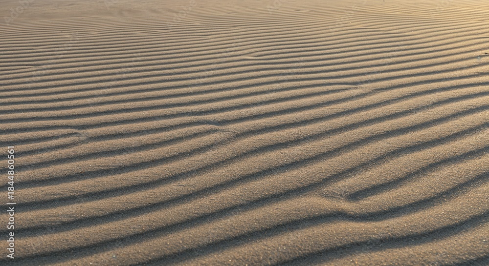 Obraz premium Delicate natural wind ripples on fine beige beach sand form an abstract pattern, beautifully textured and illuminated by warm golden hour sunlight with deep shadows.