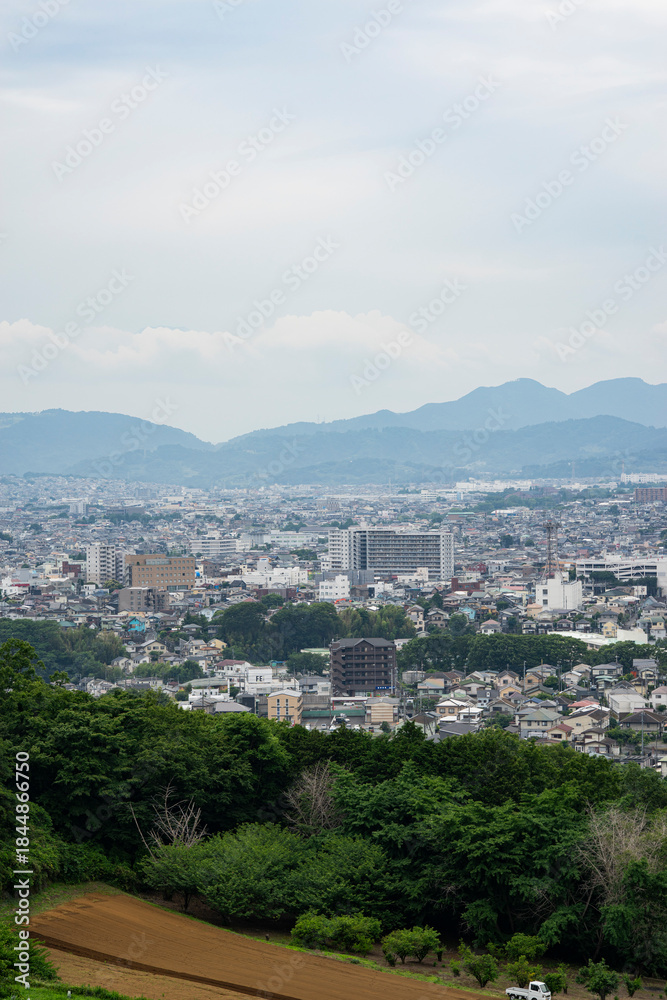 Obraz premium 弘法山から見た神奈川県秦野市の街並み