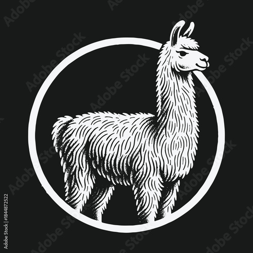 Monochrome graphic llama emblem in a bold circle.