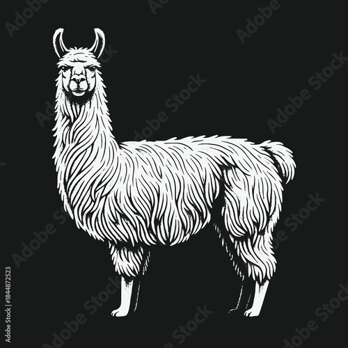 Stylized white llama illustration on a solid black background.