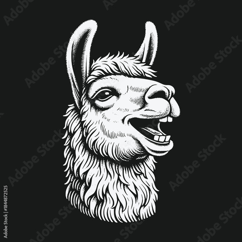 Monochrome vector illustration of a happy smiling llama head.