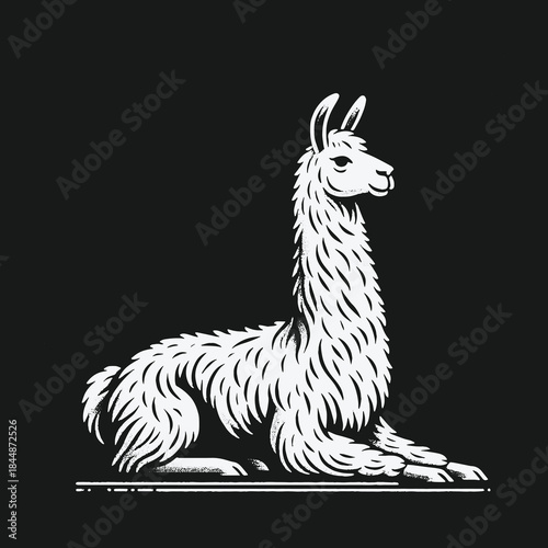 Stylized white llama illustration sitting gracefully on a black background.