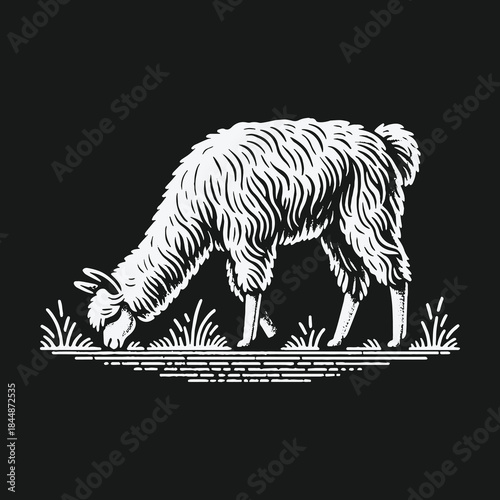 Hand drawn linocut style white llama grazing on grass.