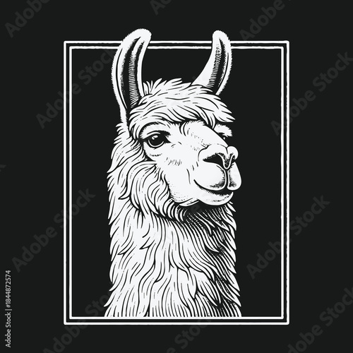 Black and white hand drawn llama portrait illustration in a frame.