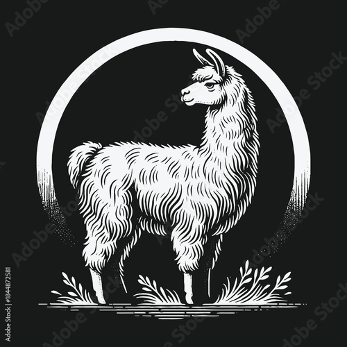 Monochrome engraved llama illustration in a circular frame.