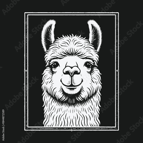 Monochrome hand drawn smiling llama portrait in a frame.