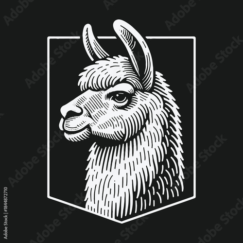 Monochrome Llama Head Portrait in Engraving Style.