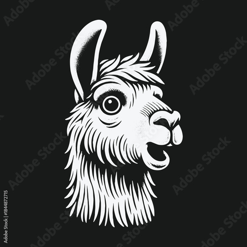Monochrome Llama Head Vector Illustration on Black Background.
