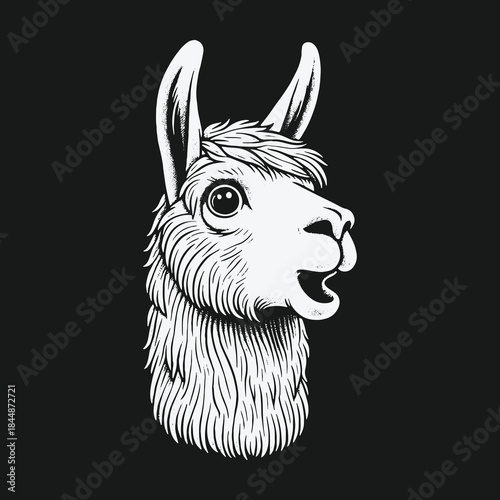 Happy llama head in a black and white engraved illustration style.