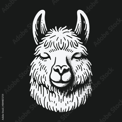 Hand drawn serene llama head with closed eyes illustration.