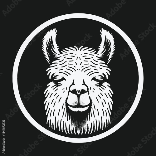 Calm llama head vector illustration in a circular frame.