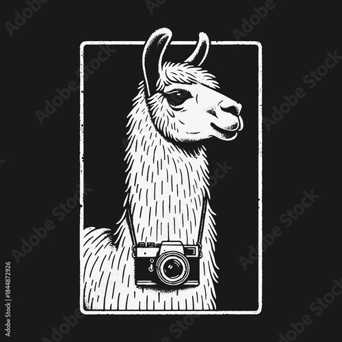 Artistic Black and White Llama Photographer Portrait Illustration.