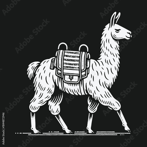 Black and white vintage illustration of a walking llama with a saddlebag.